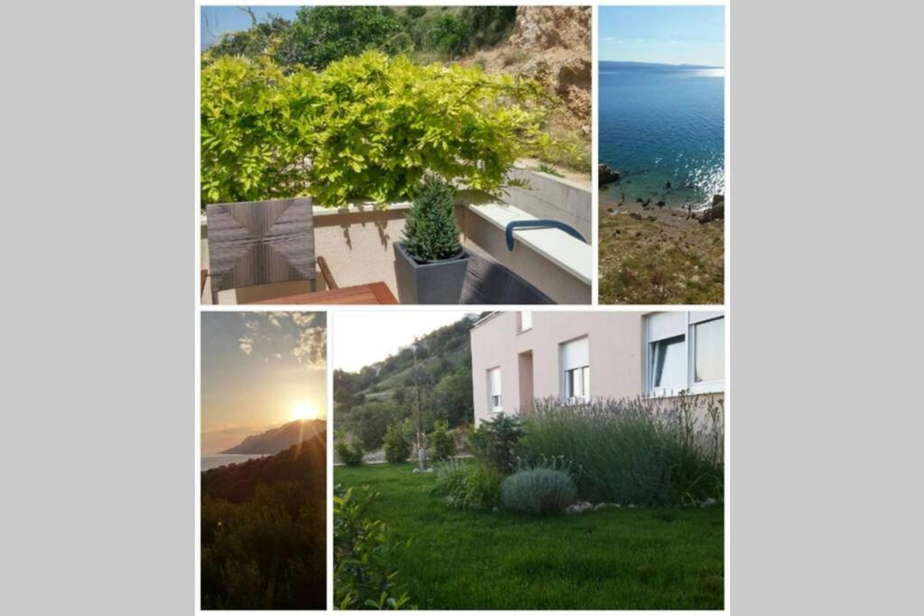 Apartment Dandelion Brela Εξωτερικό φωτογραφία