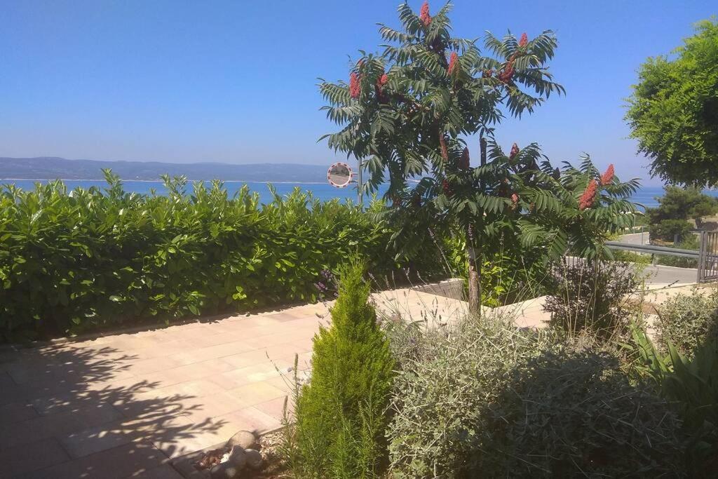 Apartment Dandelion Brela Εξωτερικό φωτογραφία