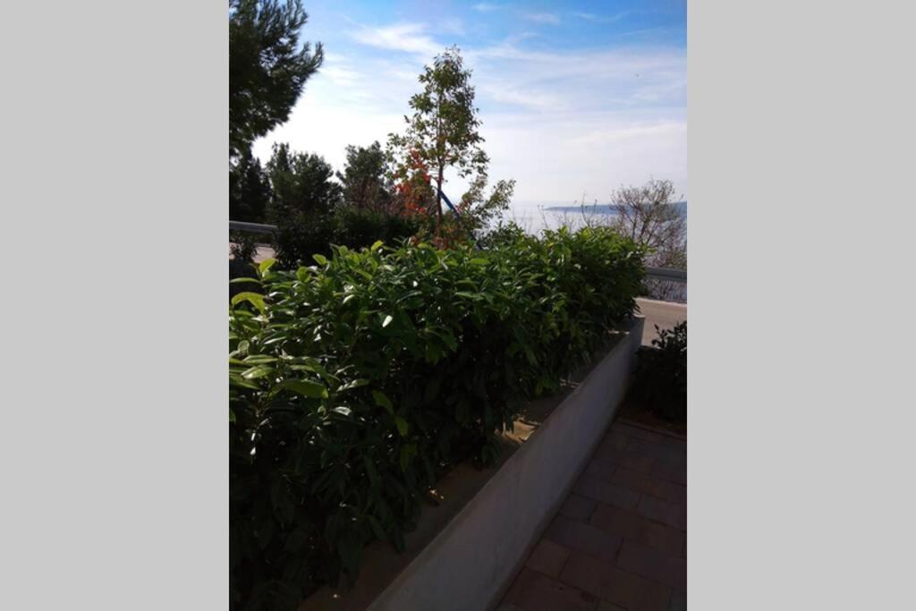 Apartment Dandelion Brela Εξωτερικό φωτογραφία