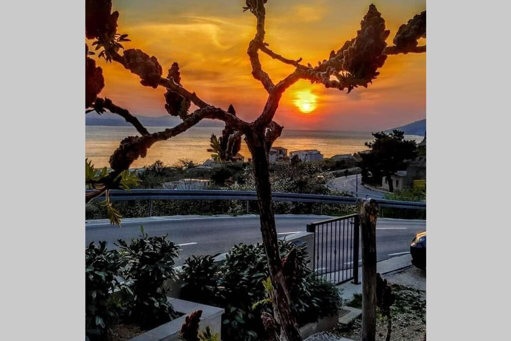 Apartment Dandelion Brela Εξωτερικό φωτογραφία