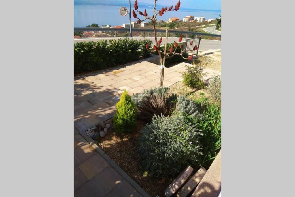 Apartment Dandelion Brela Εξωτερικό φωτογραφία