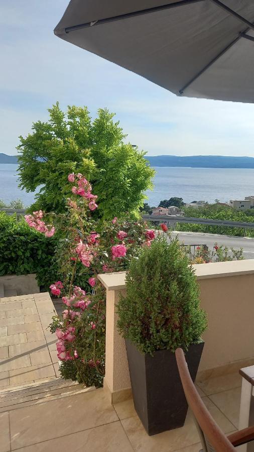 Apartment Dandelion Brela Εξωτερικό φωτογραφία